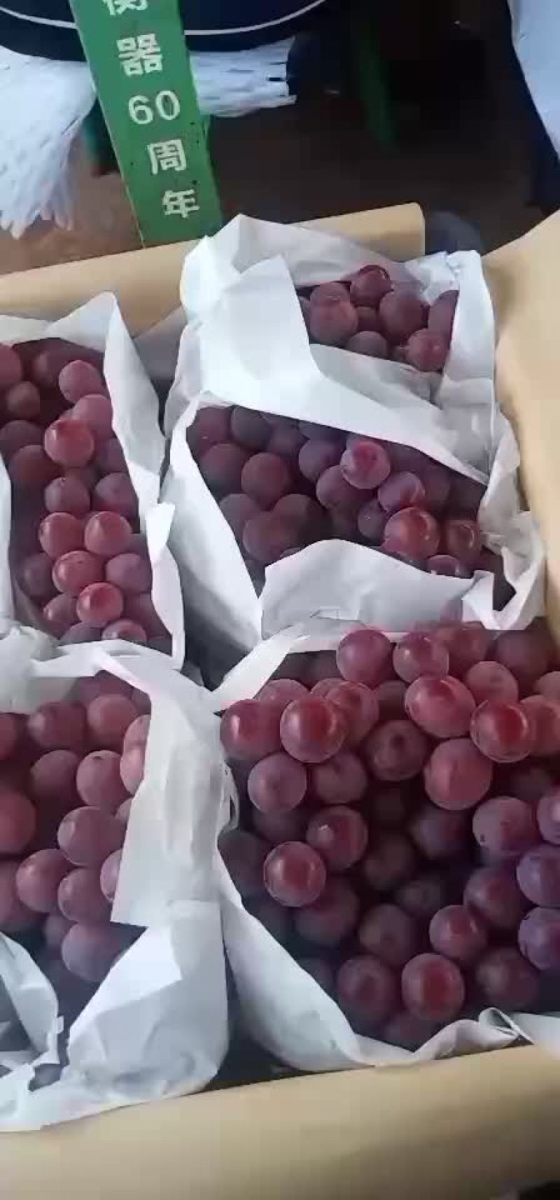 宾川。红提