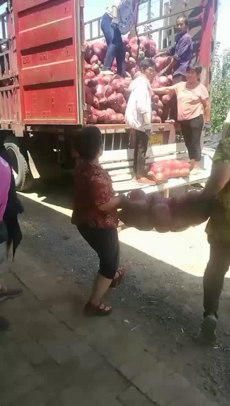 板栗南瓜。