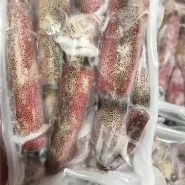 活冻小管