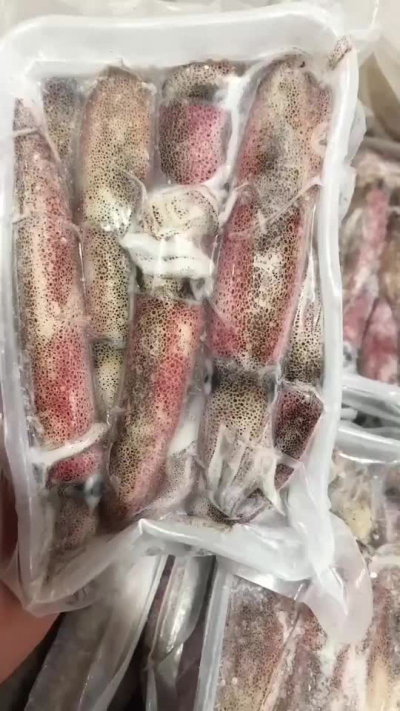 活冻小管