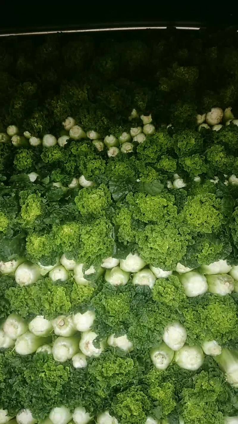 蔬菜