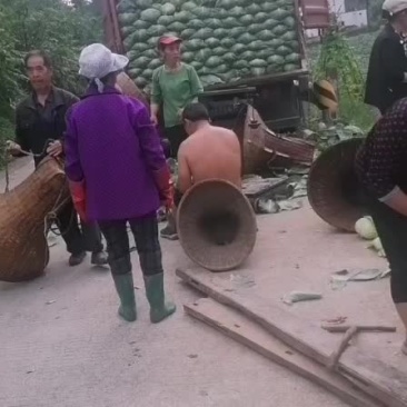 蔬菜