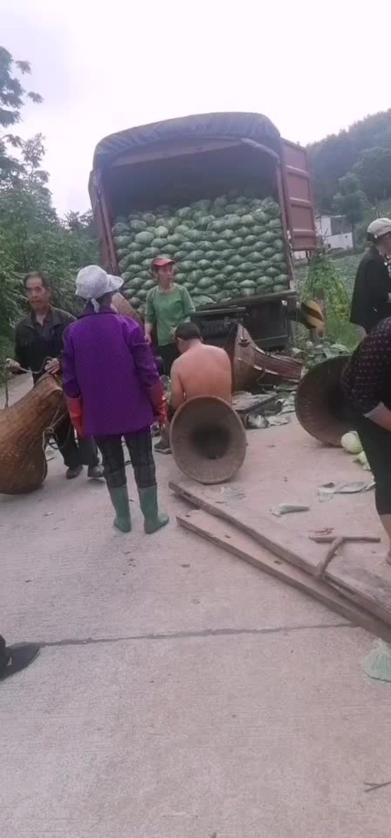 蔬菜