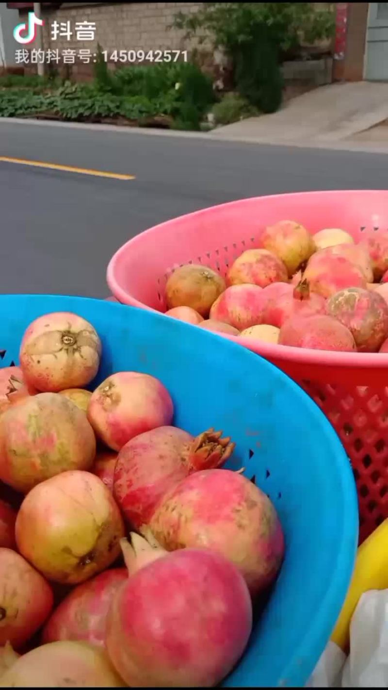云南丽江红如意石榴上市