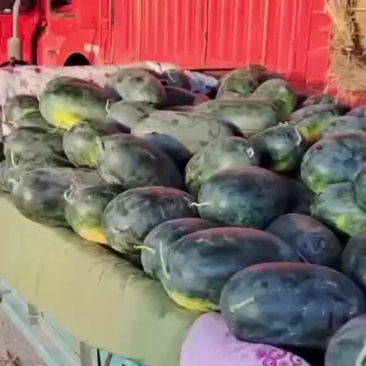 河南太康西瓜之乡