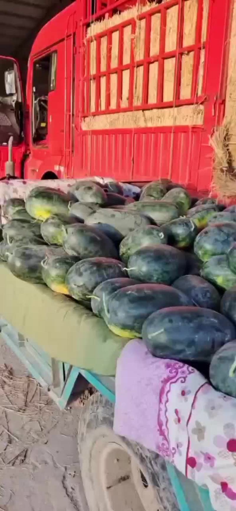 河南太康西瓜之乡