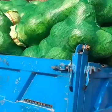 铁头