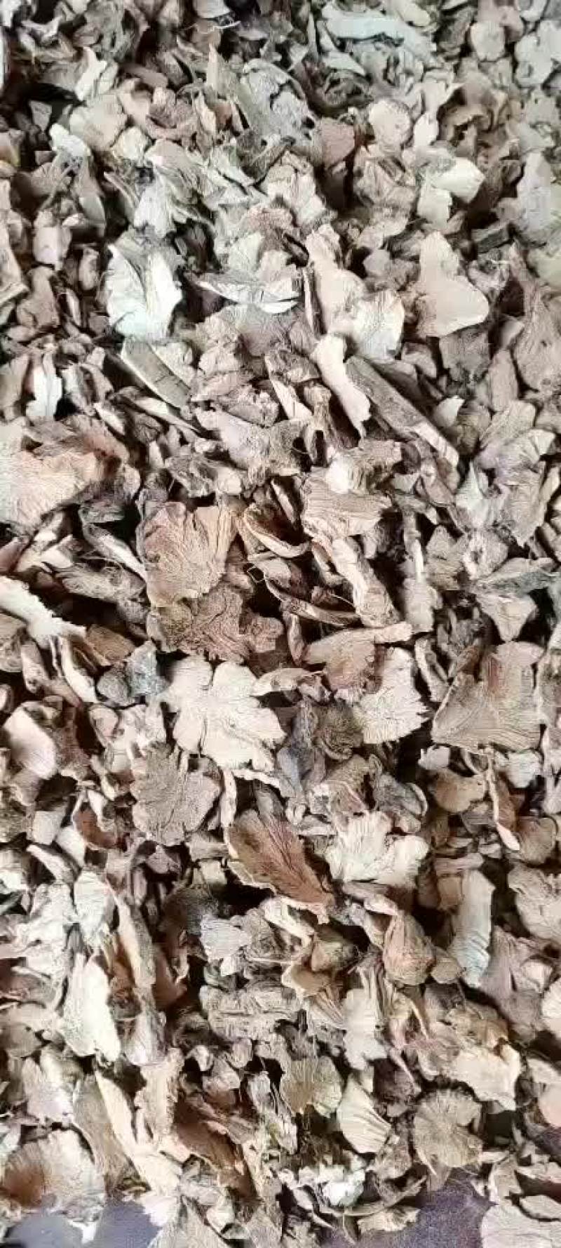 金荞麦常年经营各种中药材量大从优