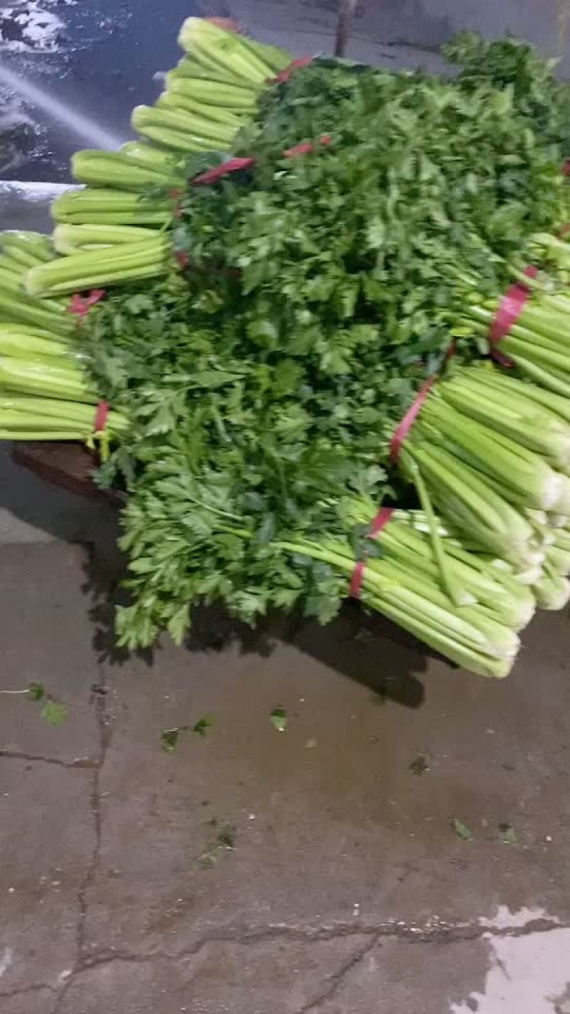 打捆芹菜
