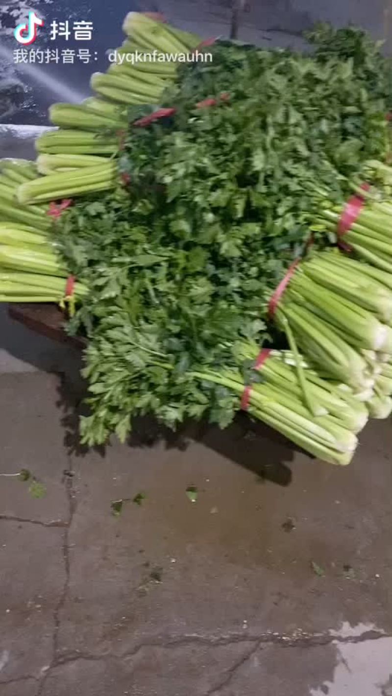 打捆芹菜
