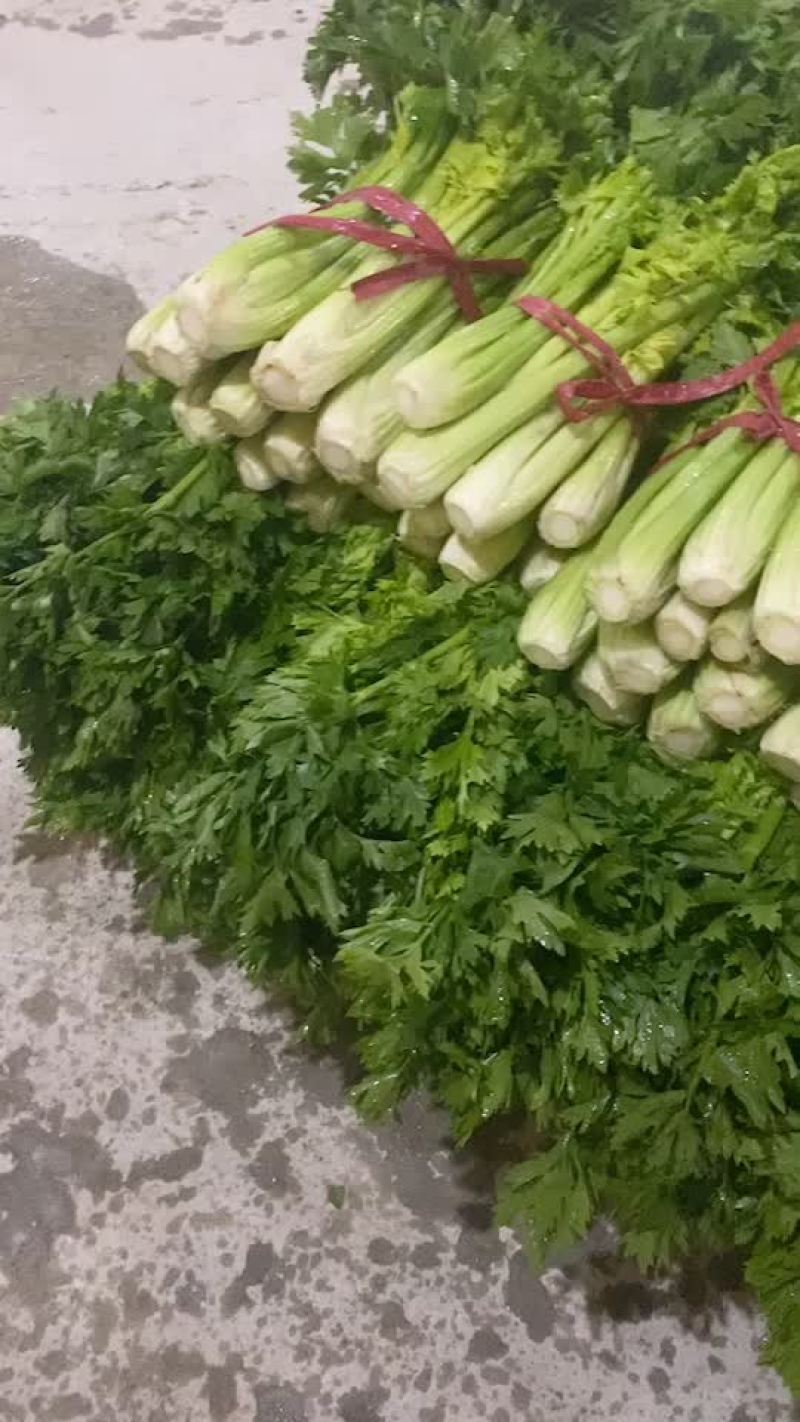 打捆芹菜