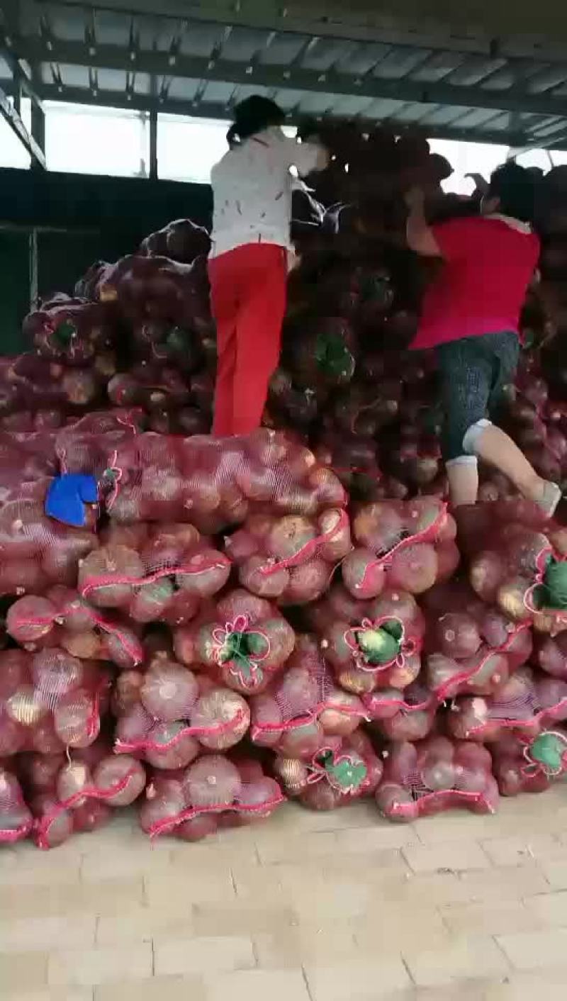 板栗南瓜