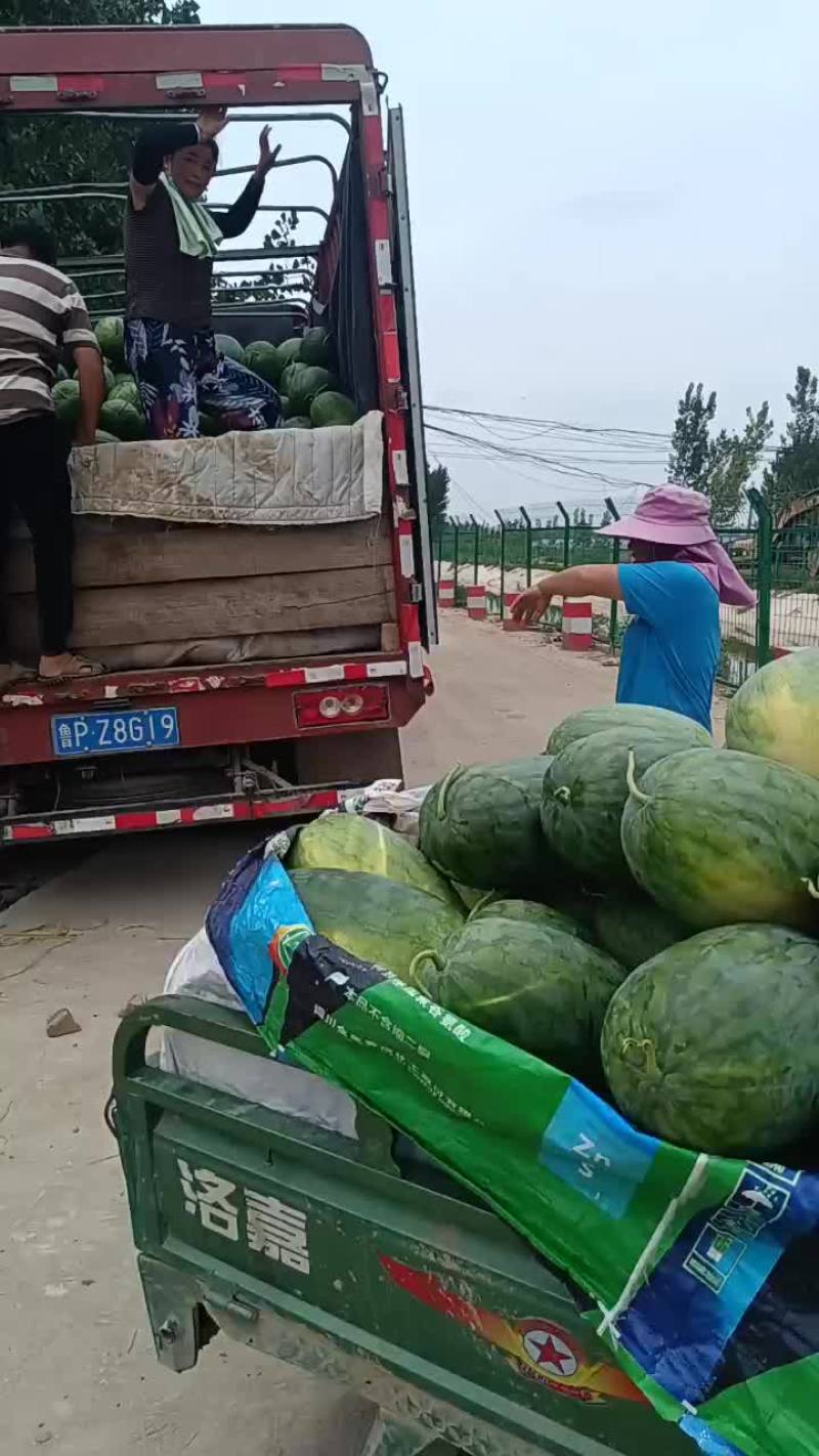 龙卷风，美都，花无籽