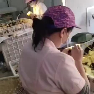 鸡鸭鹅