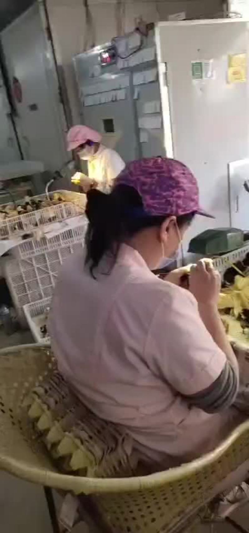 鸡鸭鹅