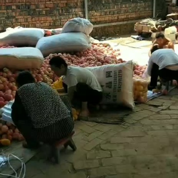核桃