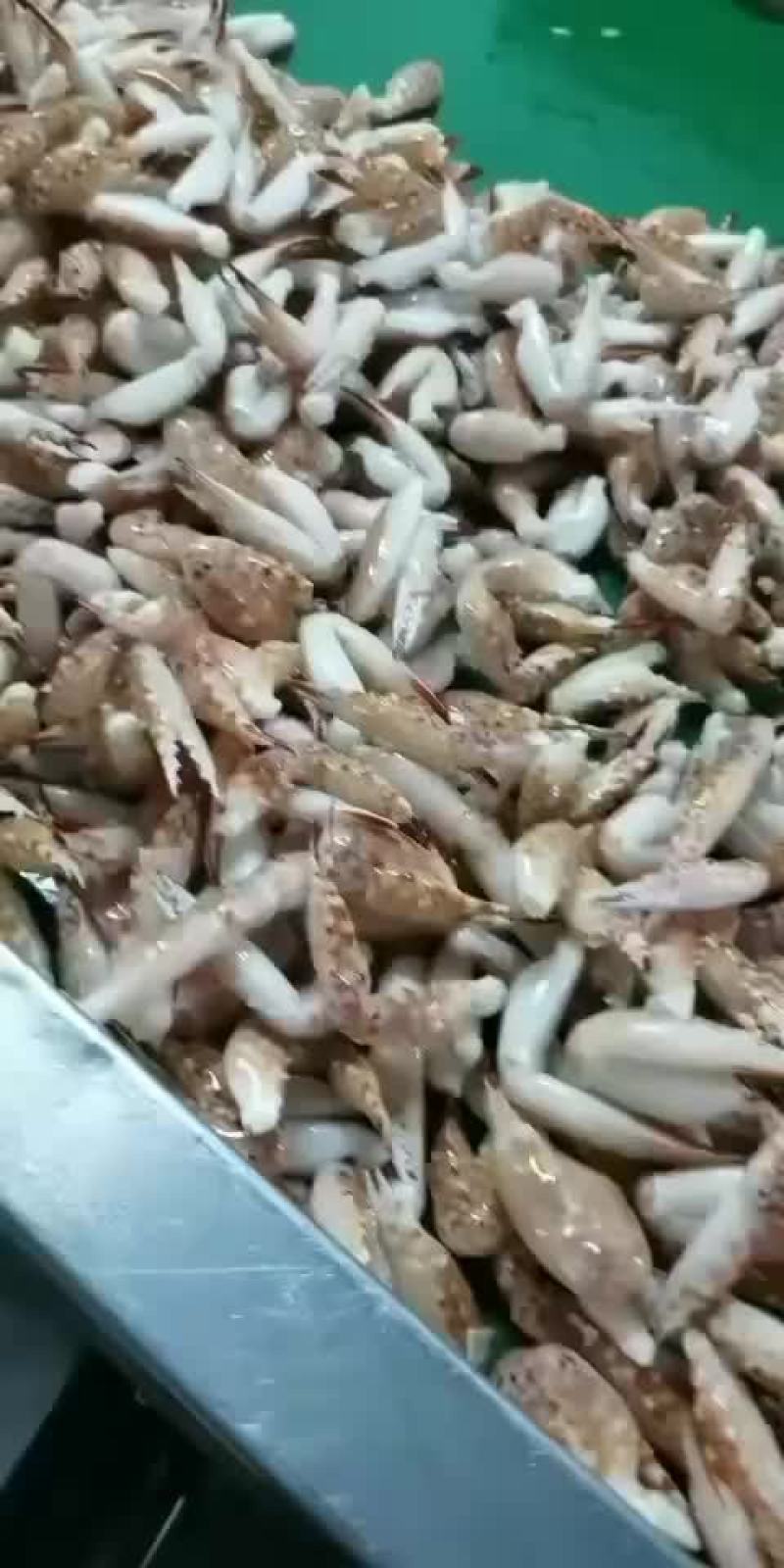 花蟹钳