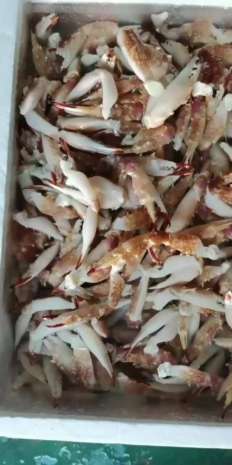 花蟹钳