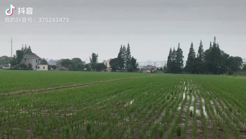 无人机飞防服务