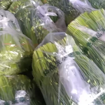 精品韭苔大量上市