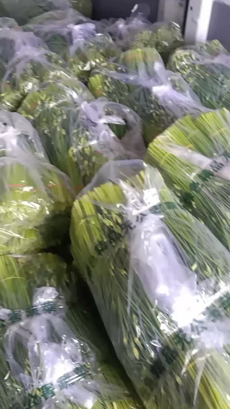 精品韭苔大量上市