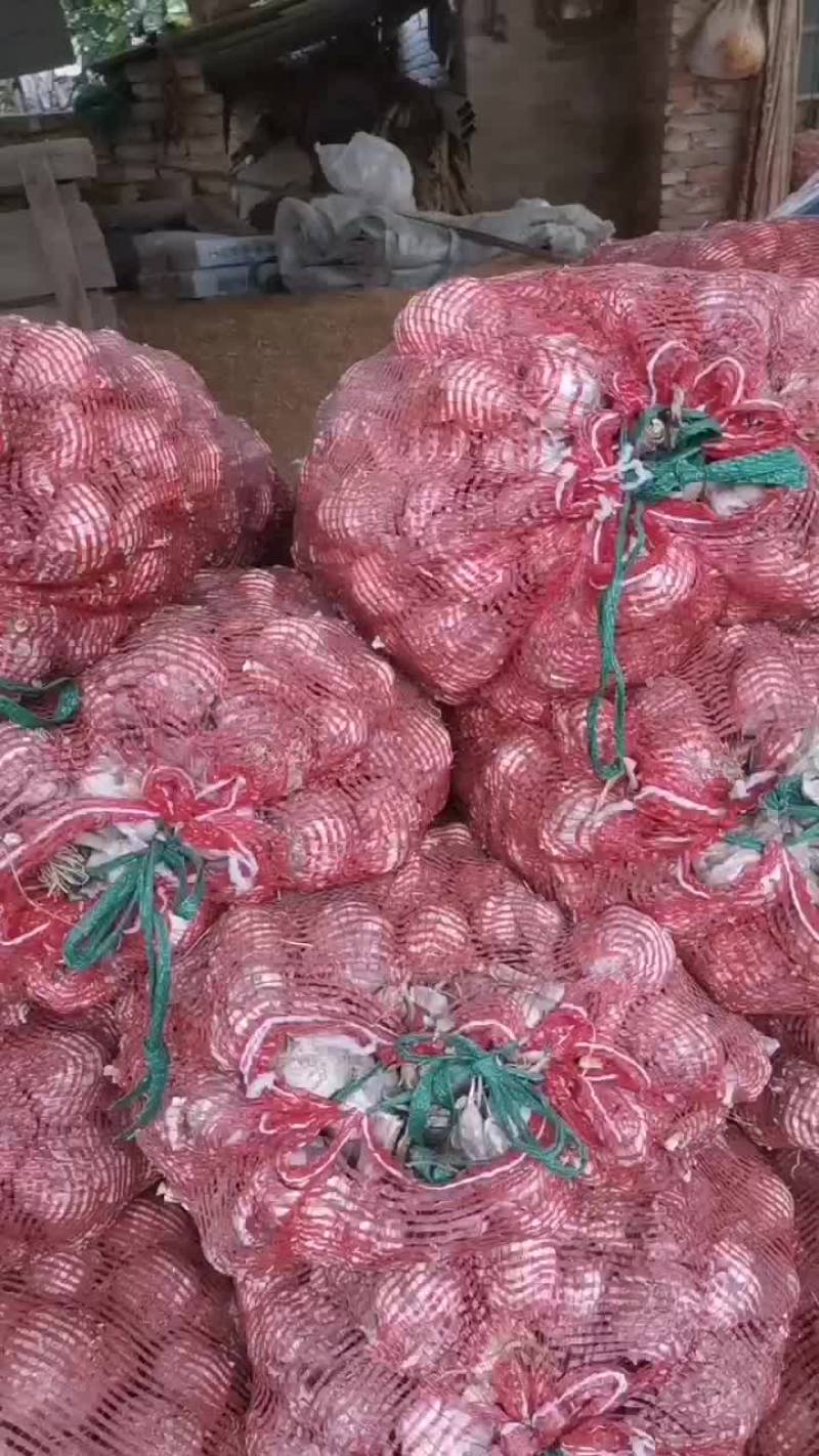 大蒜