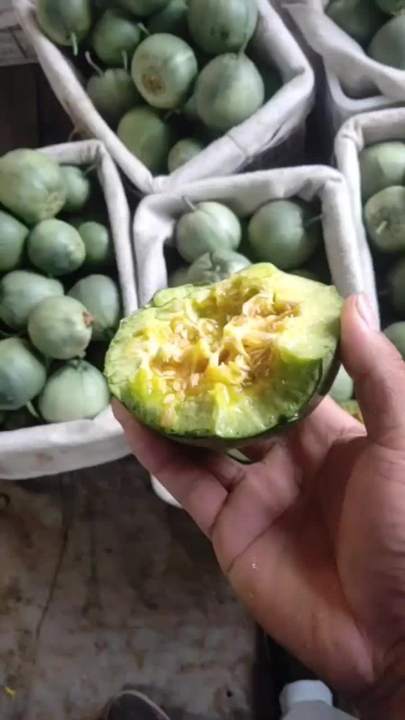 绿宝甜瓜