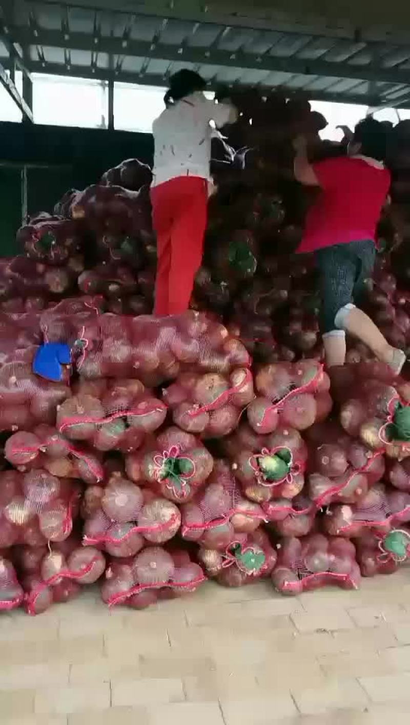 板栗南瓜