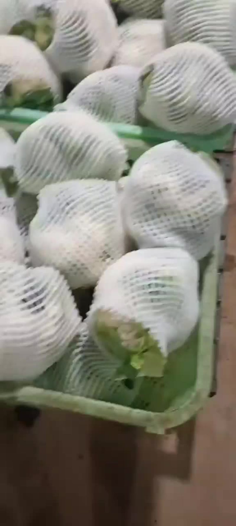菜花