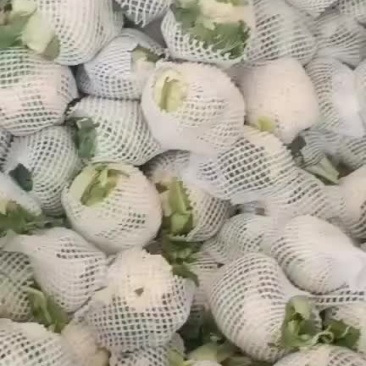 菜花
