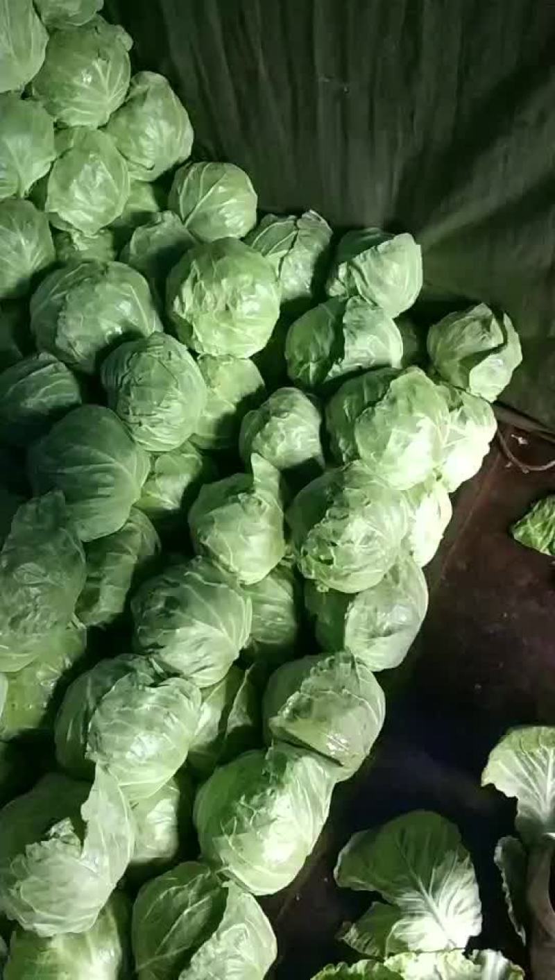 萱。绿。个头均匀。价不高。货品质量没的说。