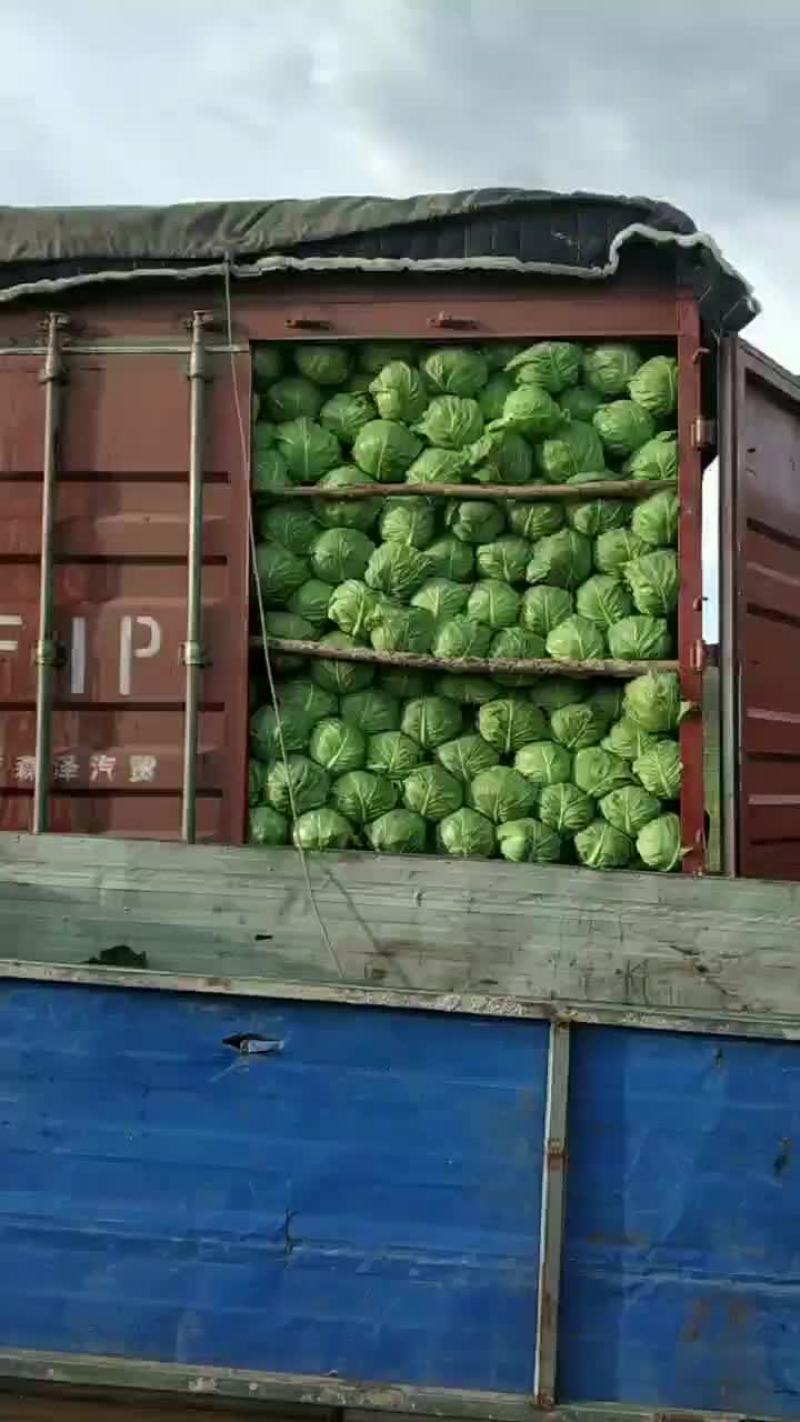 萱。绿。个头均匀。价不高。货品质量没的说。