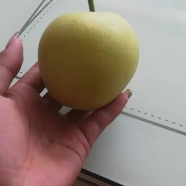 黄冠梨