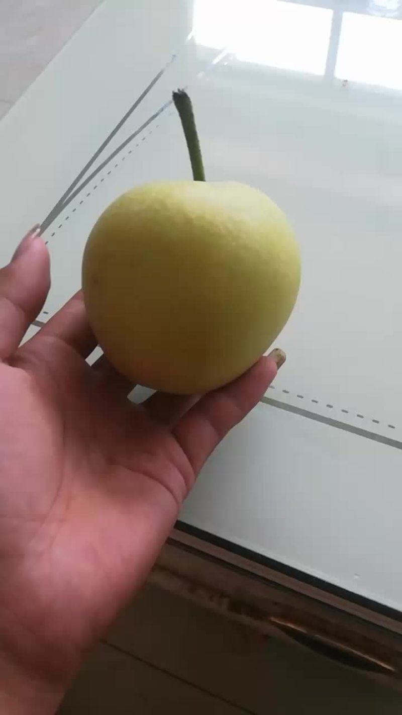 黄冠梨
