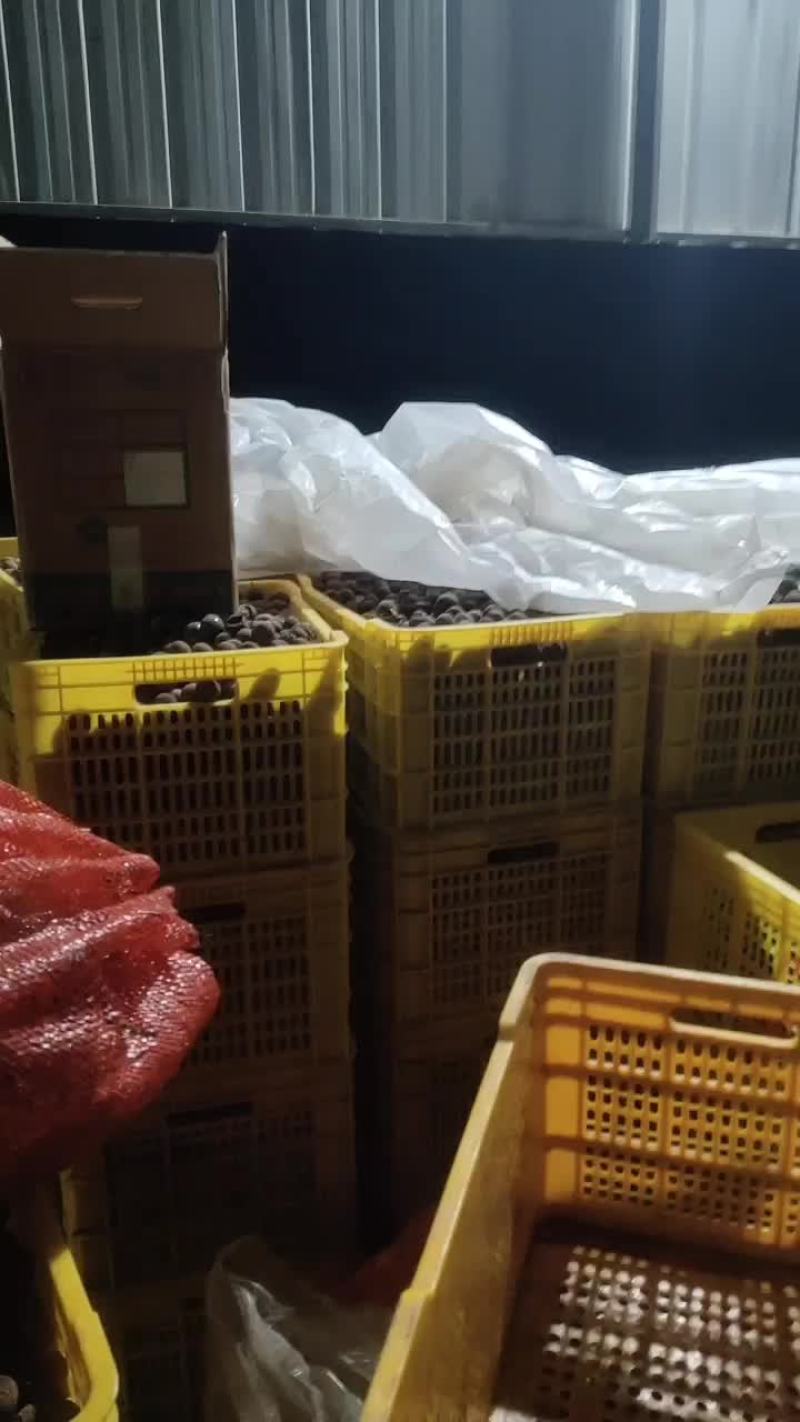 荔枝干