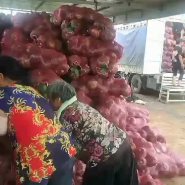板栗南瓜