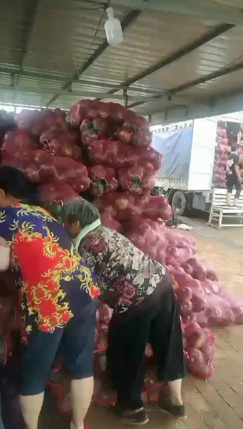 板栗南瓜