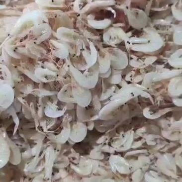 自己渔船加工，