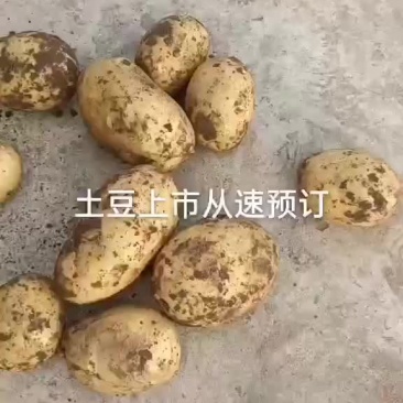 上市中