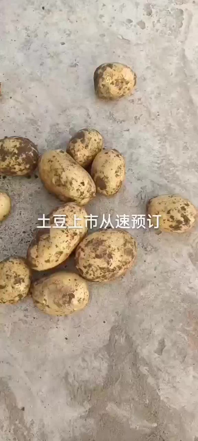 上市中