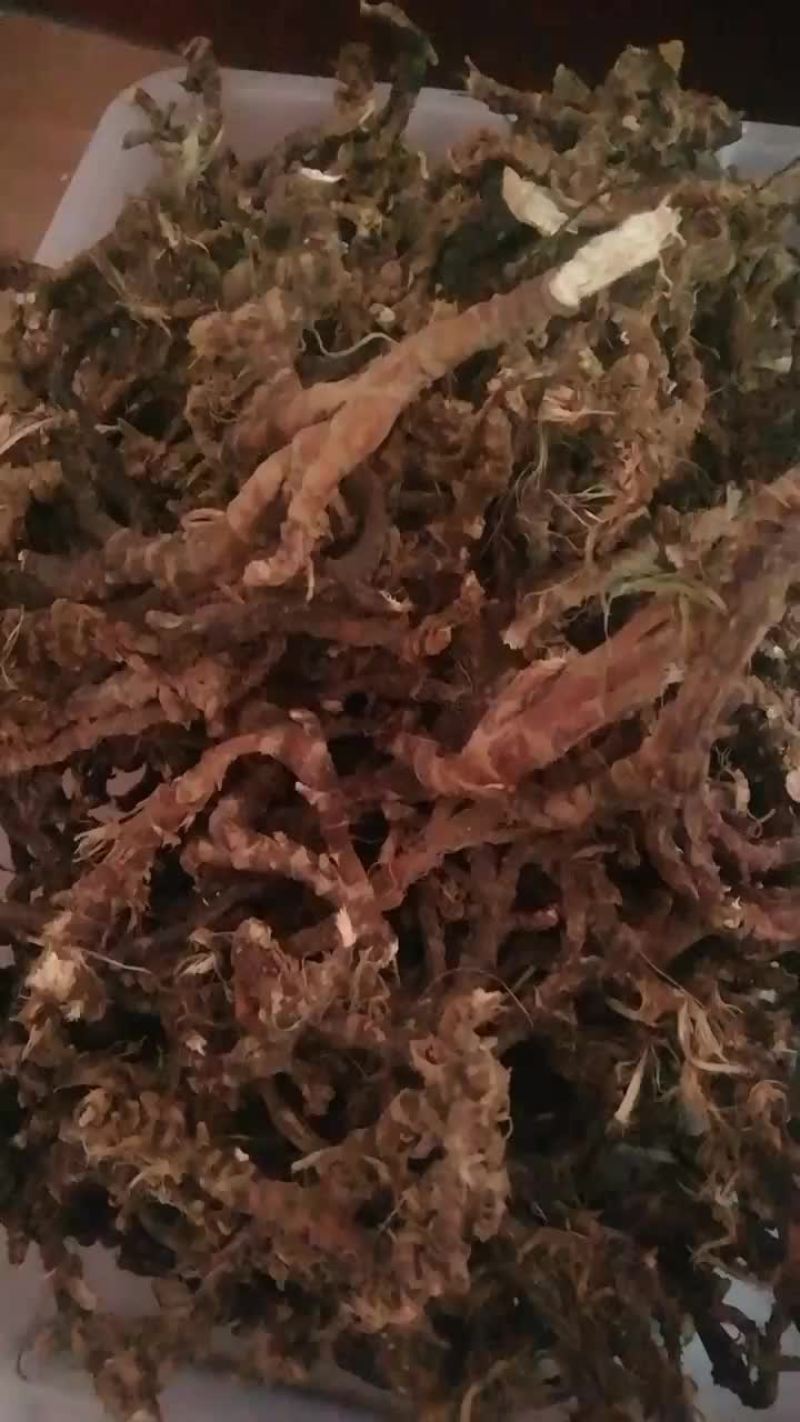石菖蒲