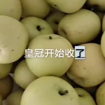 皇冠梨