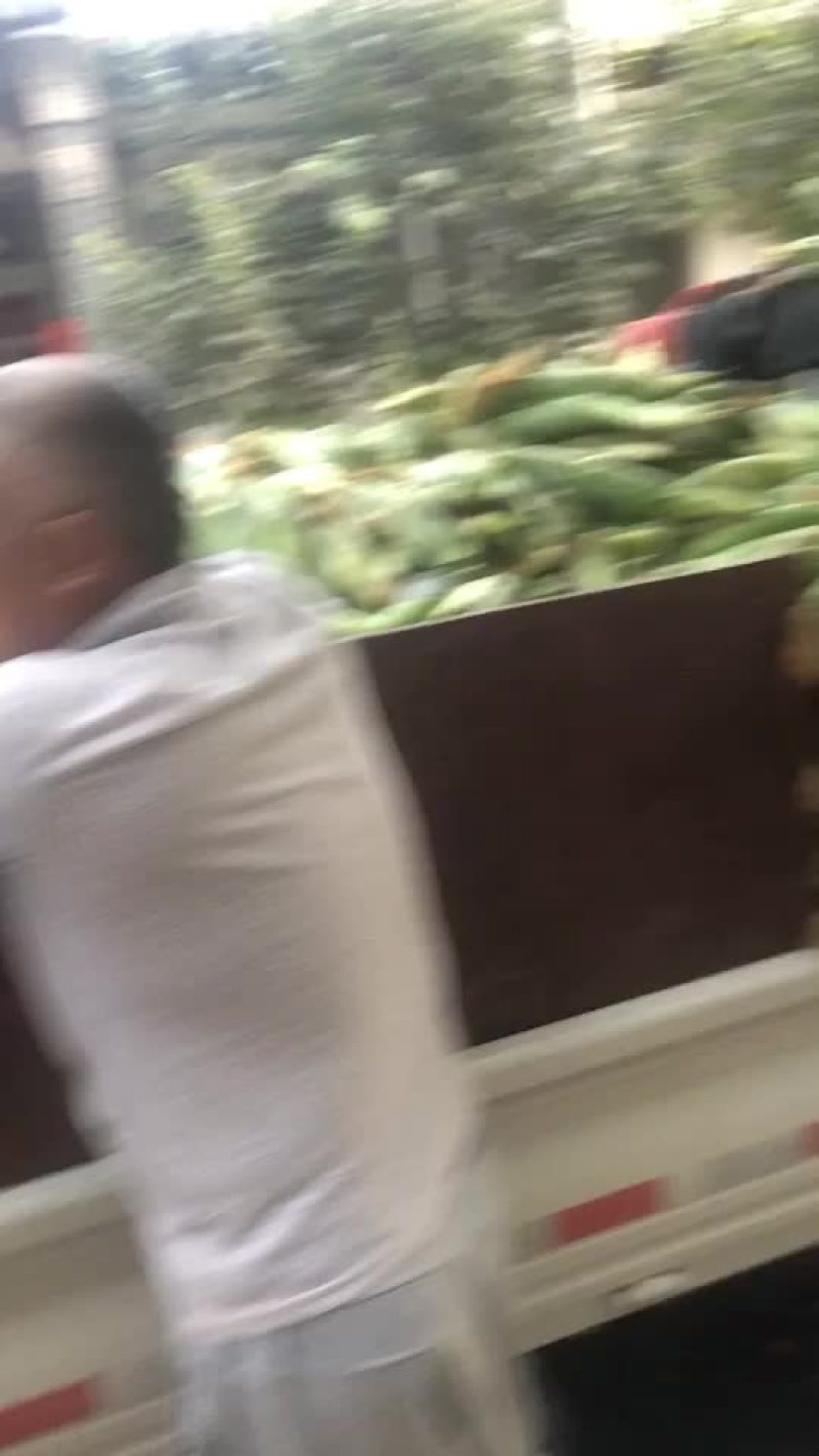 万糯2000大量上市，需要的老板联系