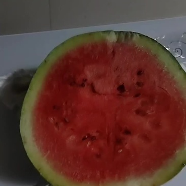 有4亩西瓜三连惯