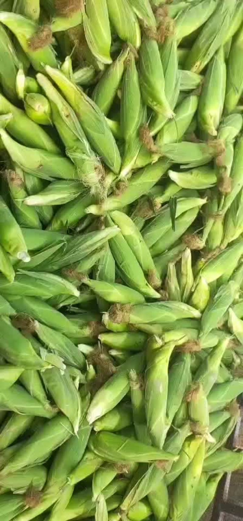 量大价格便宜