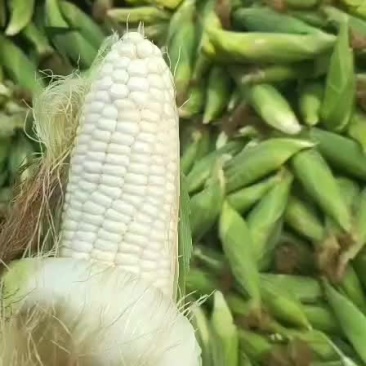量大价格便宜