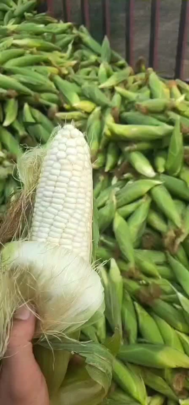 量大价格便宜