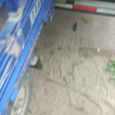 红不软毛桃，质量好，价格底