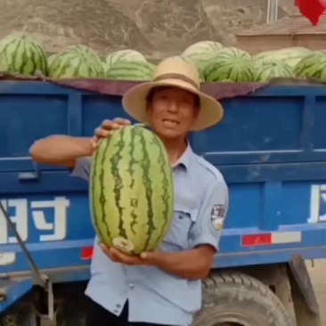 硒砂瓜