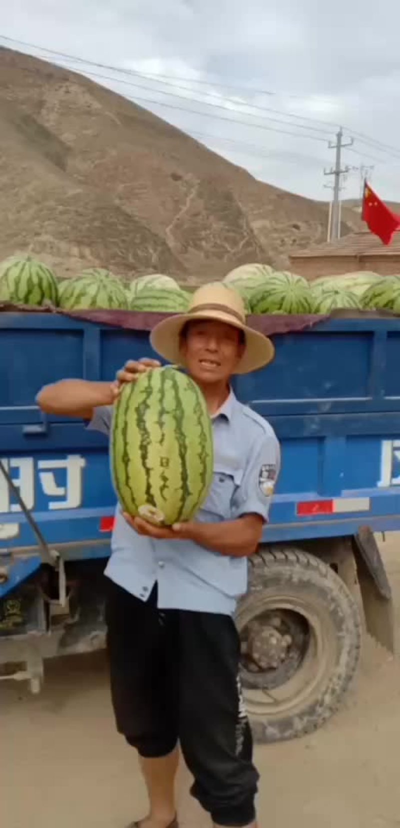硒砂瓜
